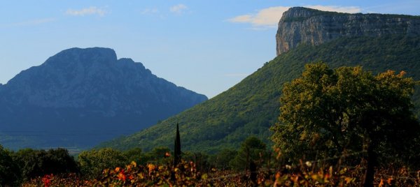 Wijnproeven: Pic Saint Loup